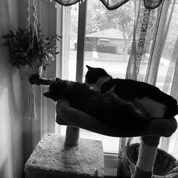 Meet your Posher, Brooke - Picture 5 of 11